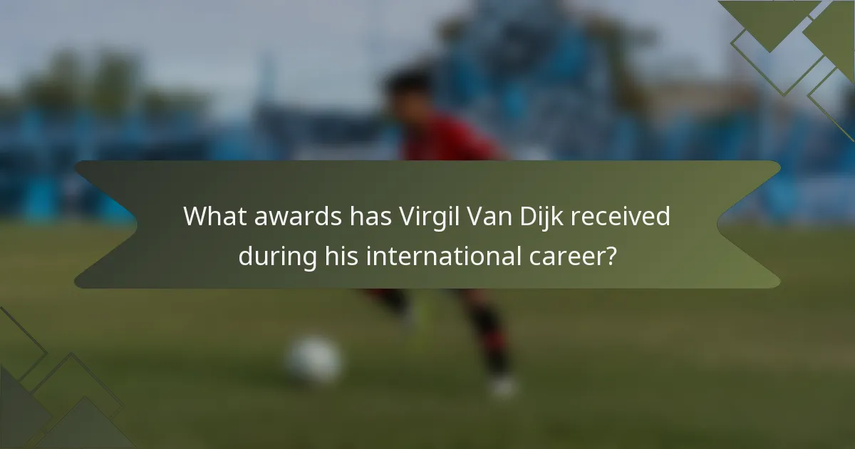 What awards has Virgil Van Dijk received during his international career?