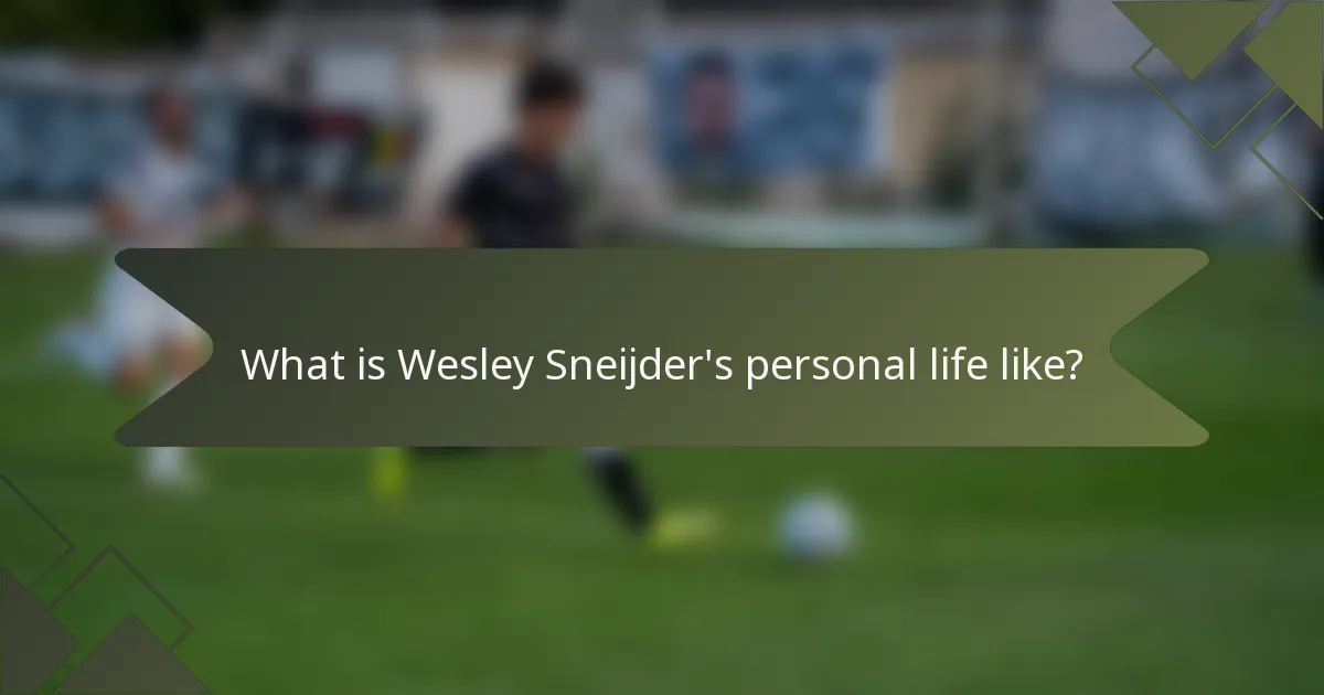 What is Wesley Sneijder's personal life like?